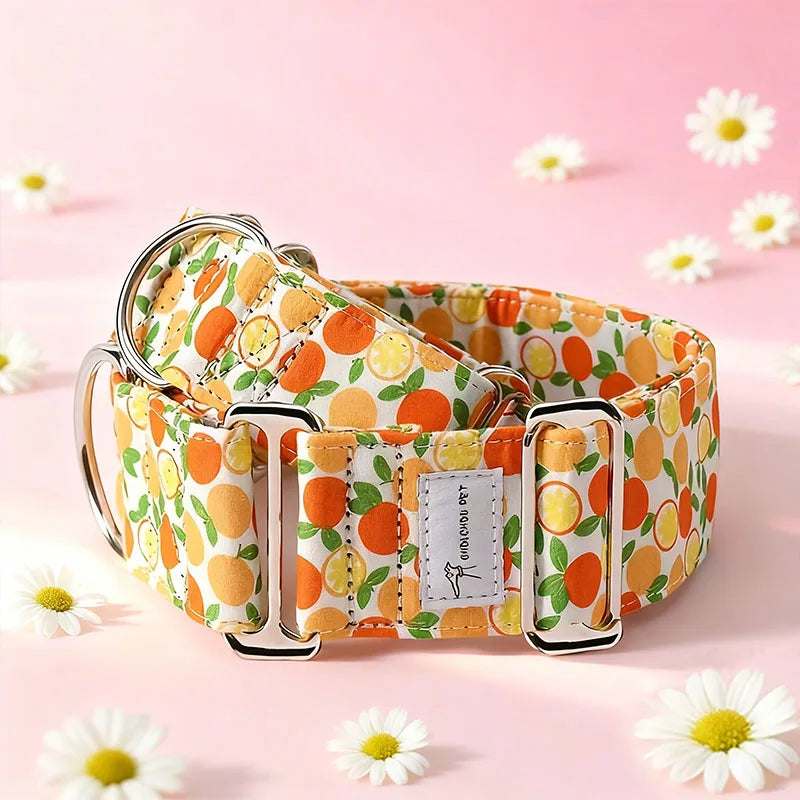 Wide Patterned Martingale Collar - Orange / XS
