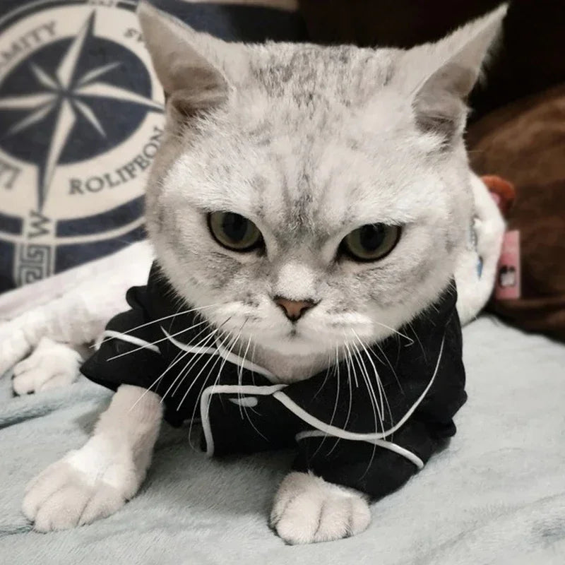 Satin-Look Pyjamas for Cats