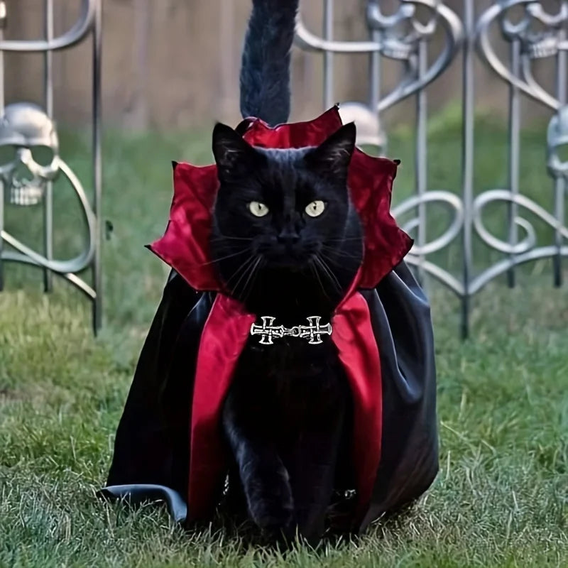 Vampire Cape and Hat for Cats