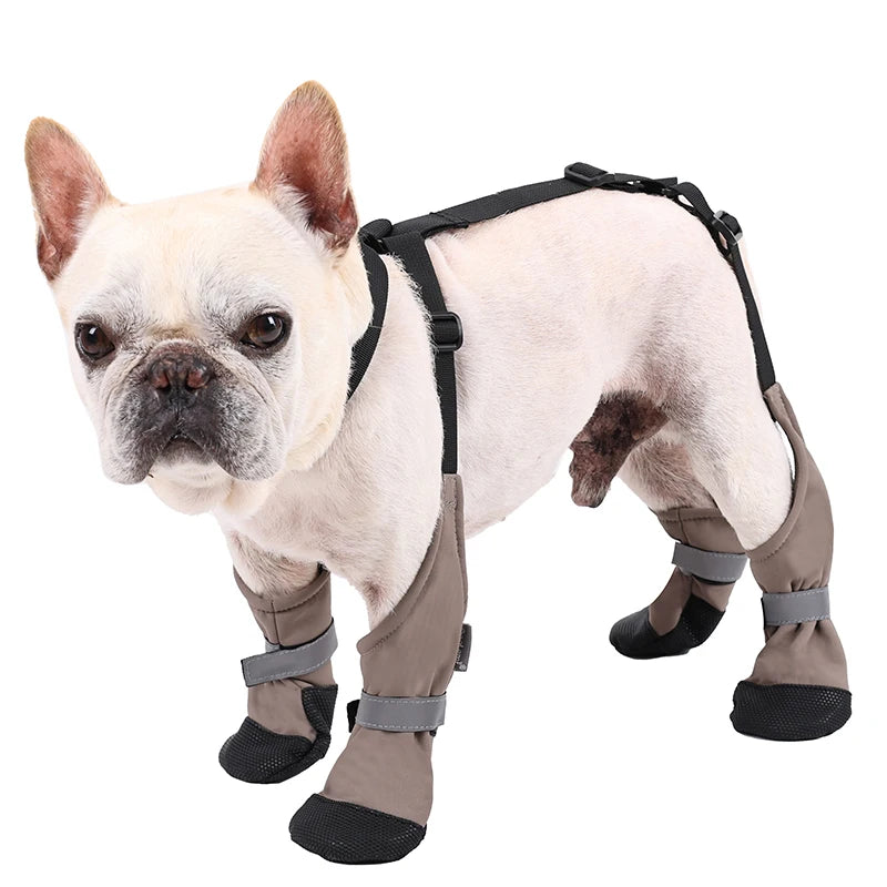 Suspender Dog Boots