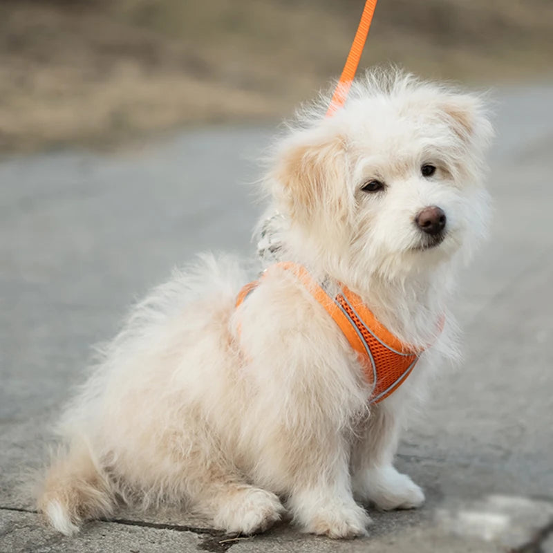 Breathable Escape-Proof Vest Harness