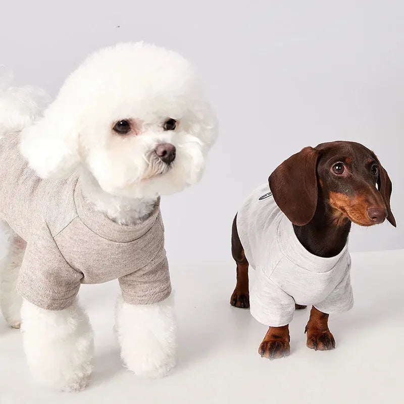 Dachshund Jumper