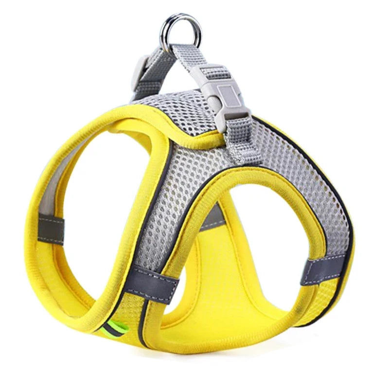 Reflective Step-In Harness and Lead Set for Small Dogs and Cats - Yellow / M