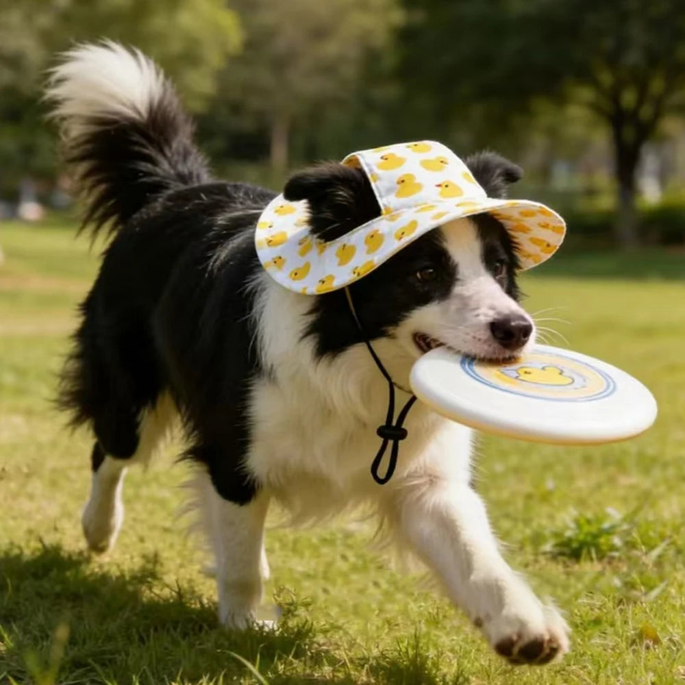 Printed Sun Cap for Dogs
