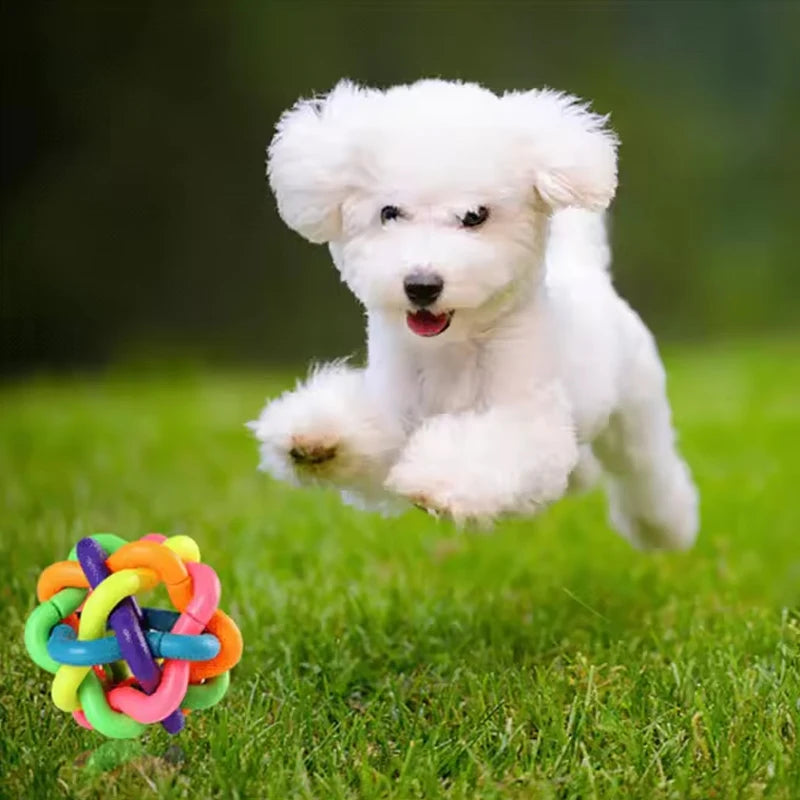 Rainbow Bell Ball Chew Toy
