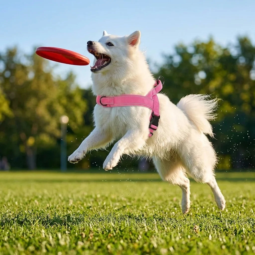 Padded No-Pull Dog Harness with Handle, Large Dogs