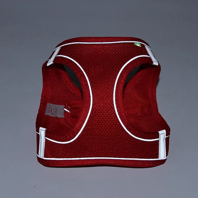 Soft Harness and Lead Set for Puppies and Small Dogs