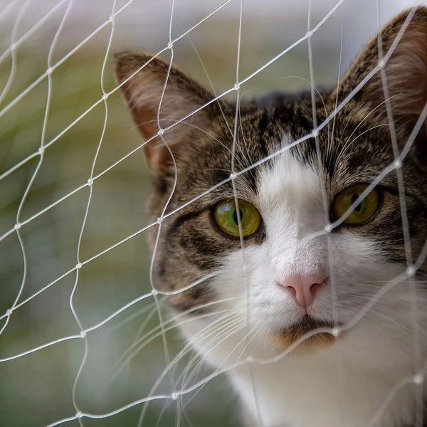 Clear Cat Safety Net for Balconies and Windows