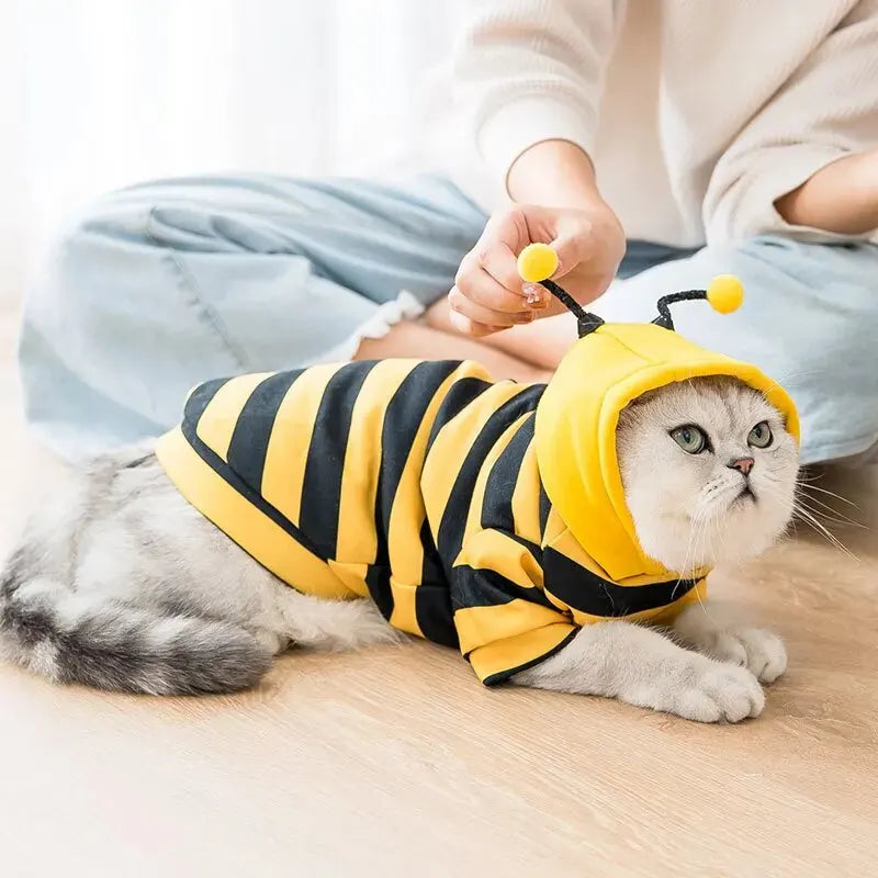 Bumblebee Hoodie for Pets