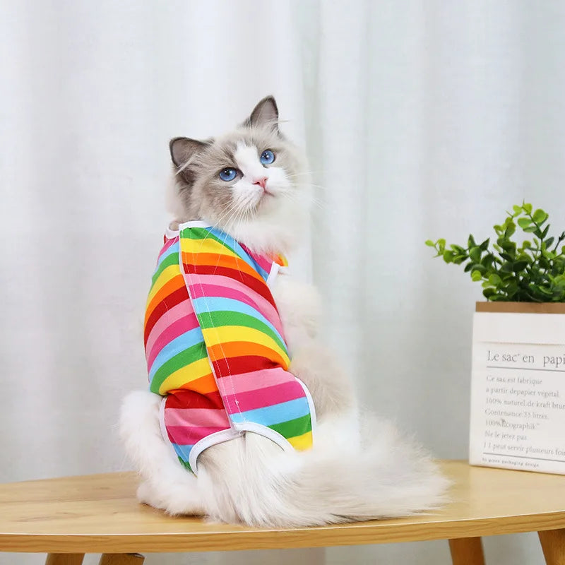 Cat Recovery Suit