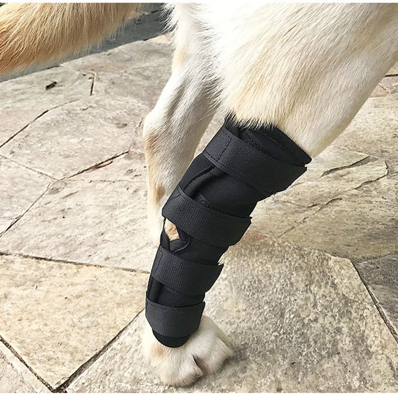 Leg Brace Wraps for Dogs
