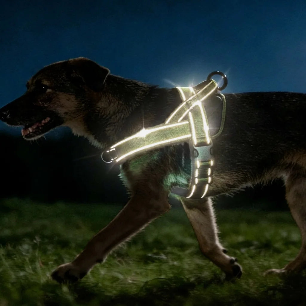 Padded No-Pull Dog Harness with Handle, Large Dogs