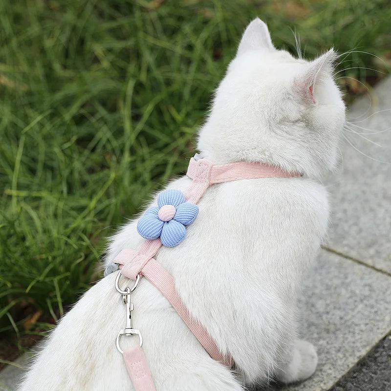 Cute Harness and Lead Set for Cats and Small Dogs