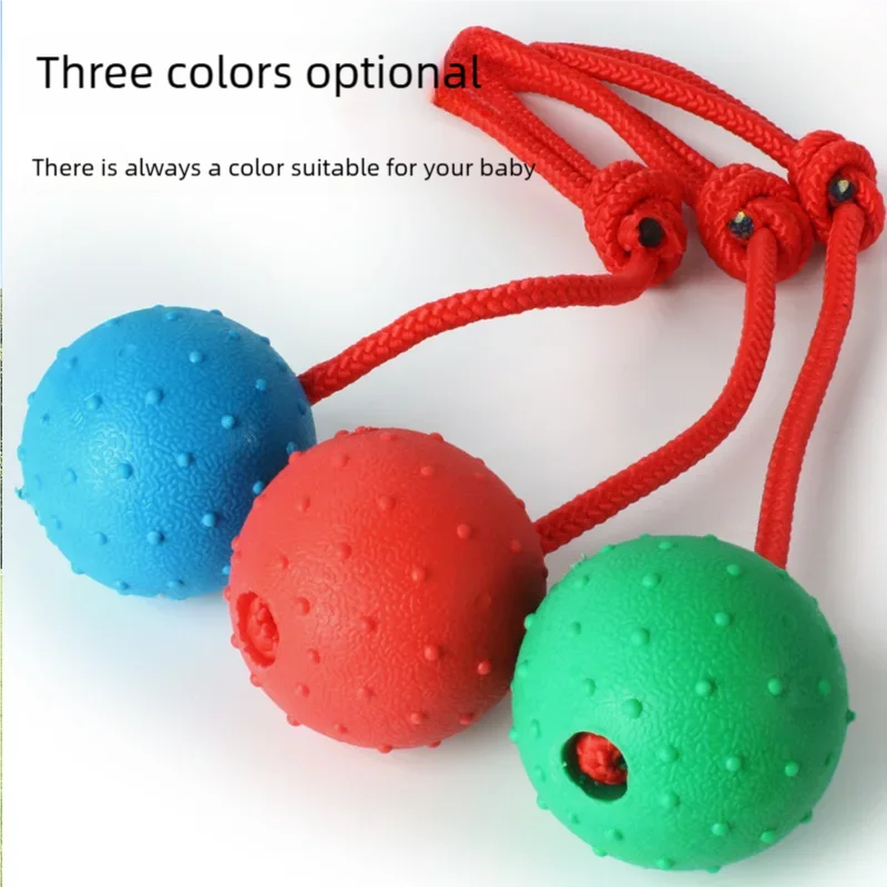 Ball on a Rope Dog Toy