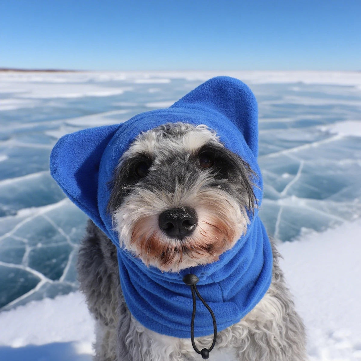 Fleece Snood Hat with Ears - S / Blue