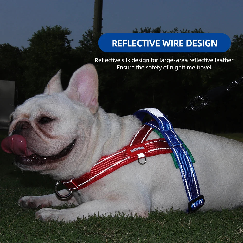 No-Pull Saddle Harness for Small and Medium Dogs