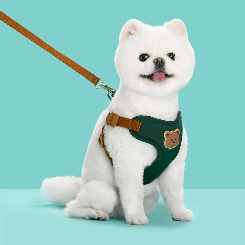 Plaid Harness and Lead Set for Small Dogs and Cats - Green / XS