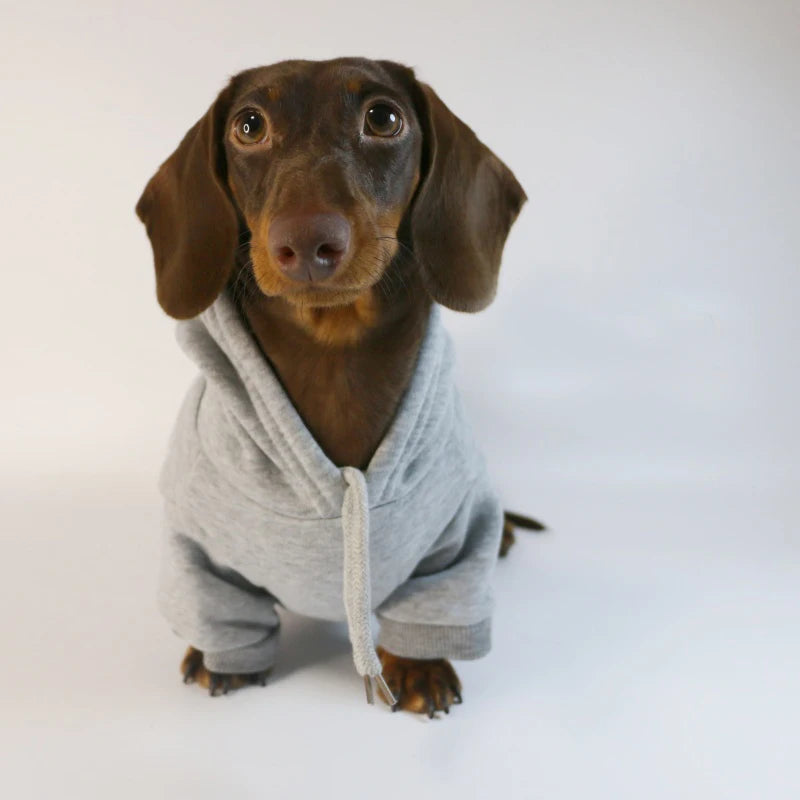 Hoodie for Dachshunds