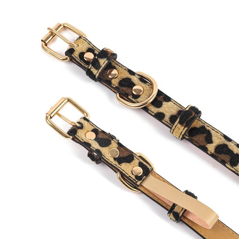 Leopard and Snake Print Collar