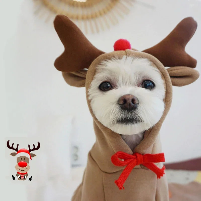 Reindeer Hoodie for Small Dogs