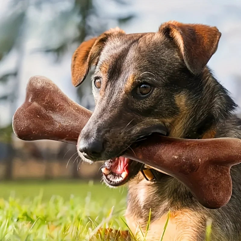 Beef-Flavoured Bone Chew Toy