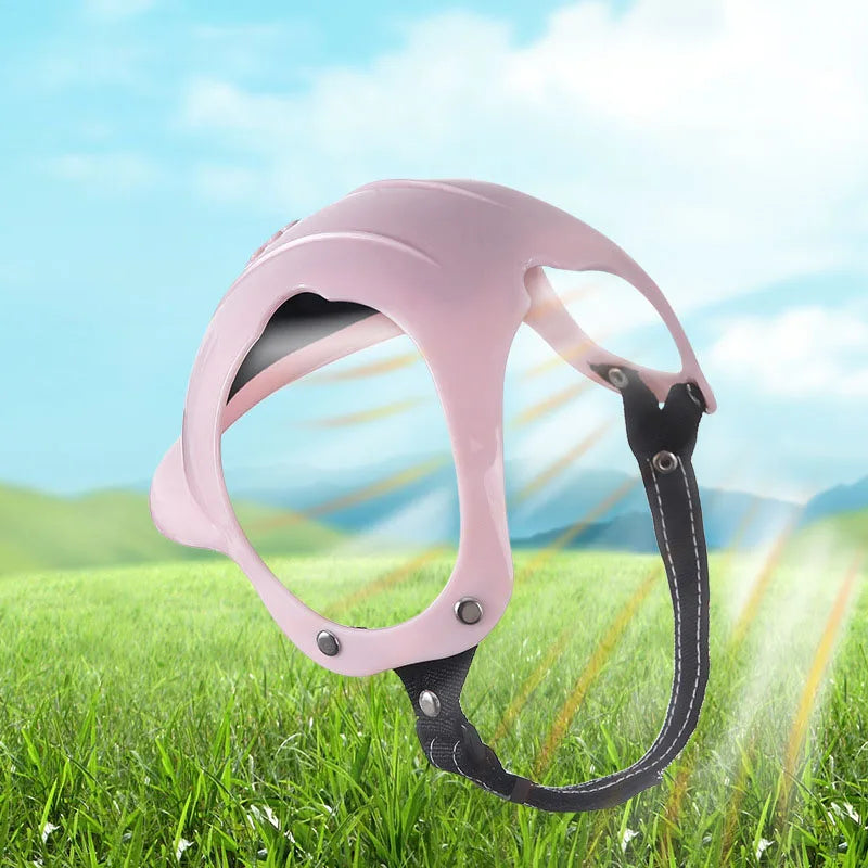 Motorbike Helmet for Dogs and Cats