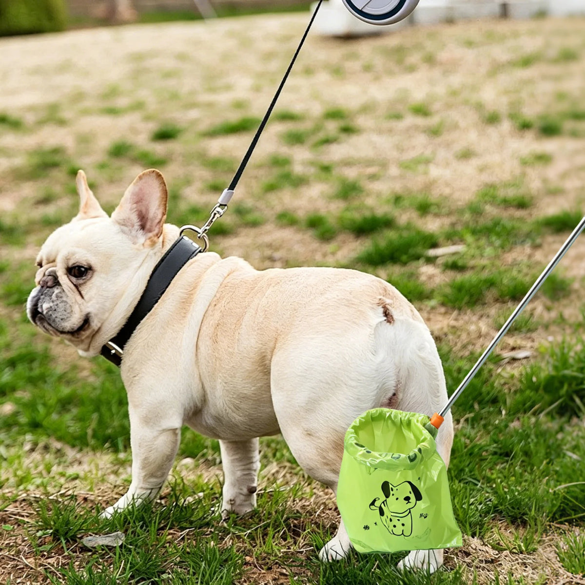Long-Handled Poop Picker