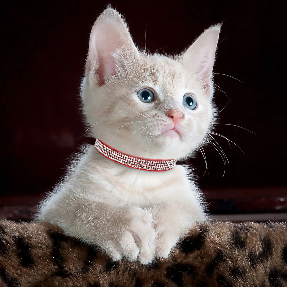 Rhinestone Cat Collar with Bell