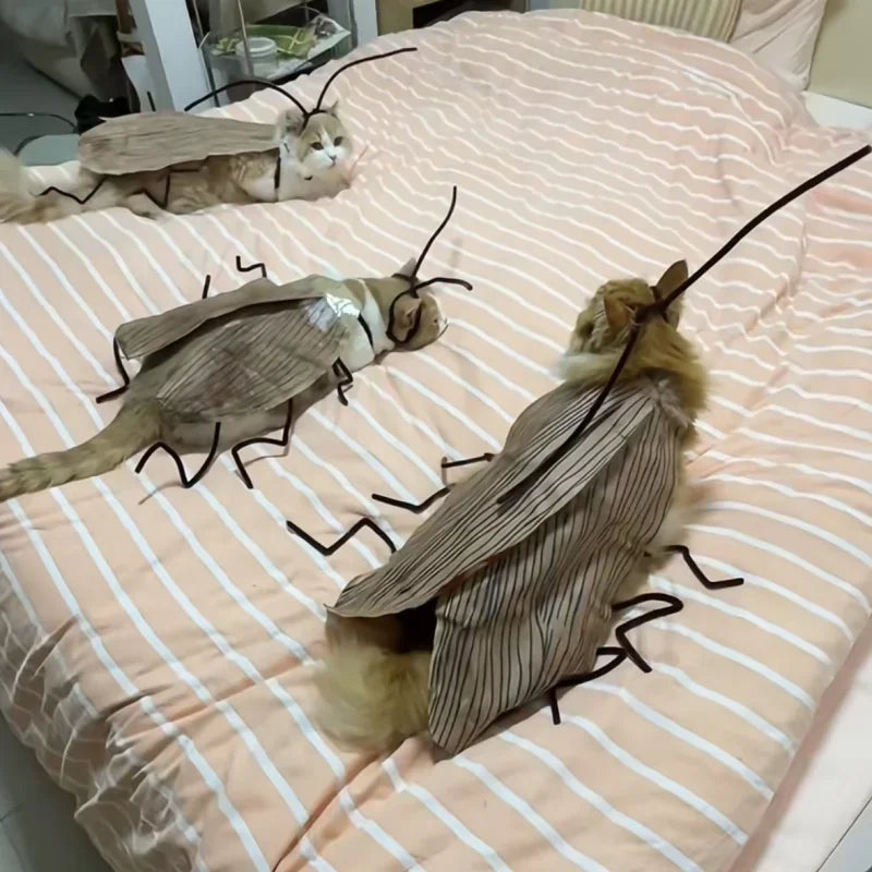 Cockroach Costume for Cats