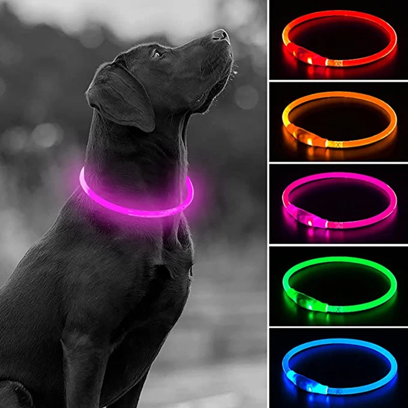 USB Rechargeable LED Dog Collar