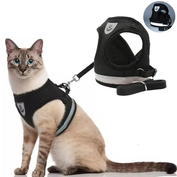 Reflective Cat Harness and Lead Set