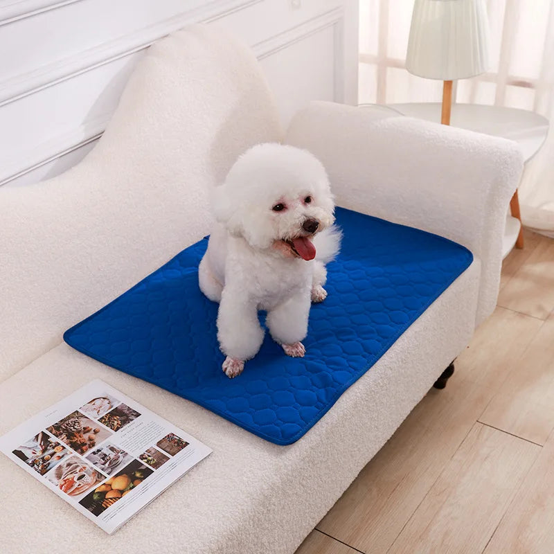 Reusable Washable Pee Pad for Dogs - Blue / 50x35 cm