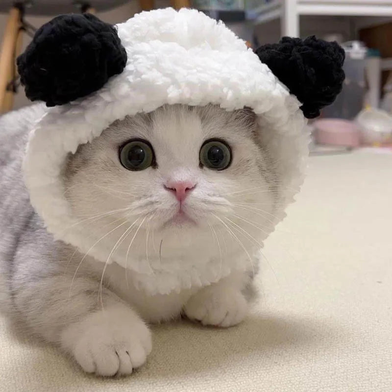 Bunny and Bear Ear Hat for Pets - Black and White