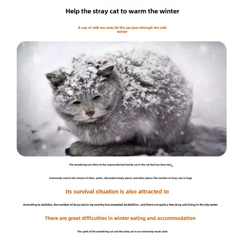 Insulated Outdoor Cat House