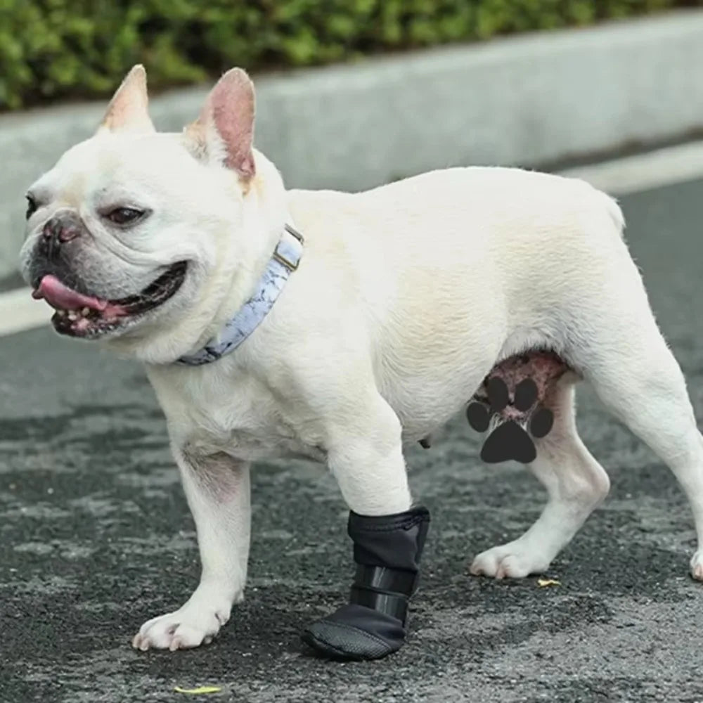 Recovery Boot for Dogs