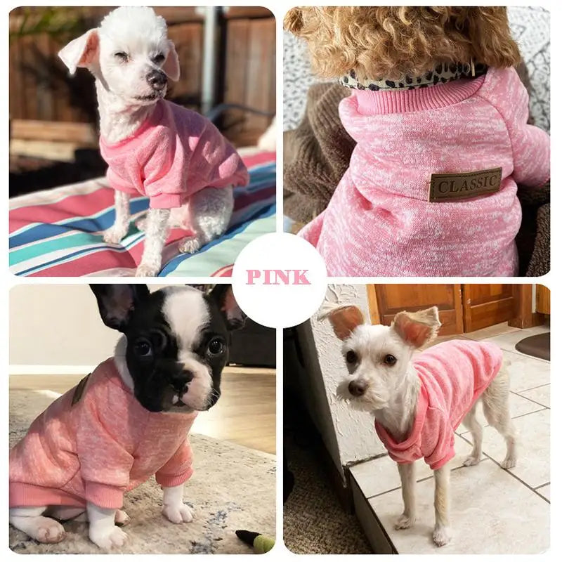 Warm Sweatshirt Jacket for Small Dogs