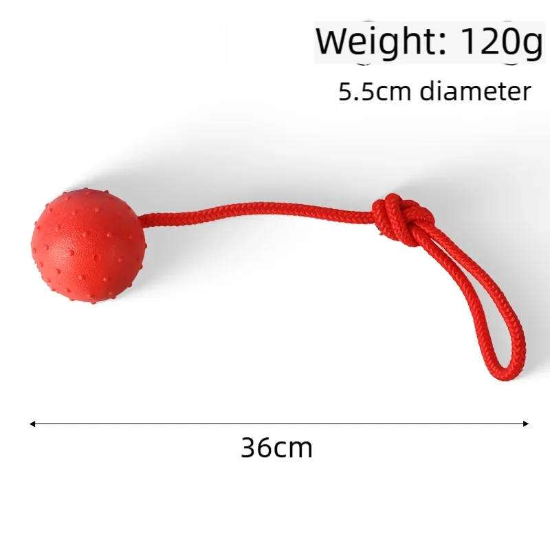 Ball on a Rope Dog Toy
