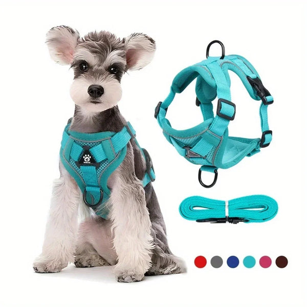 No-Pull Dog Harness and Lead Set