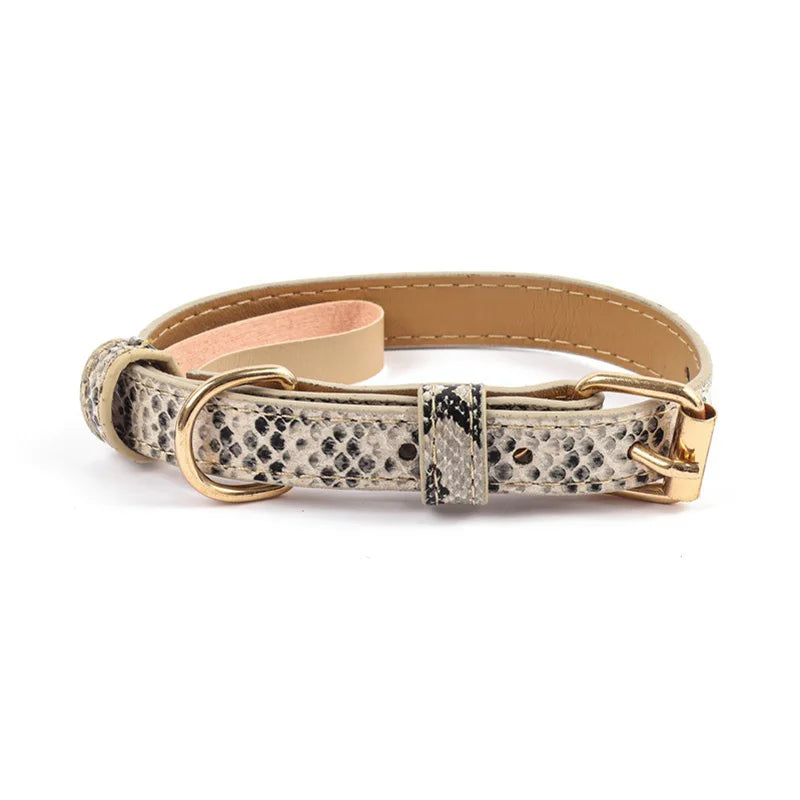 Leopard and Snake Print Collar - Snake print / S