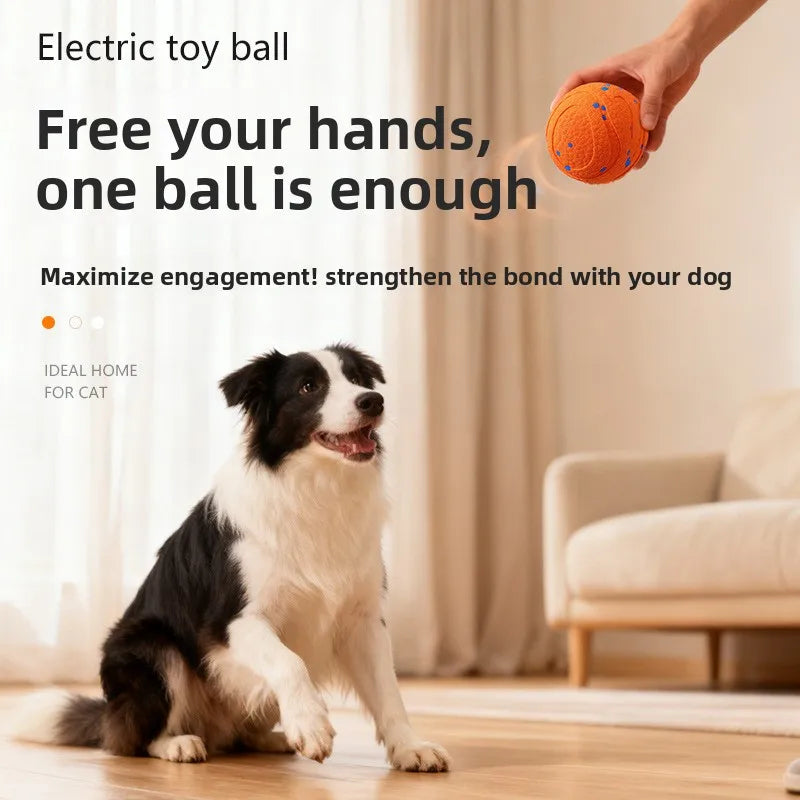Rechargeable Rolling Ball Dog Toy
