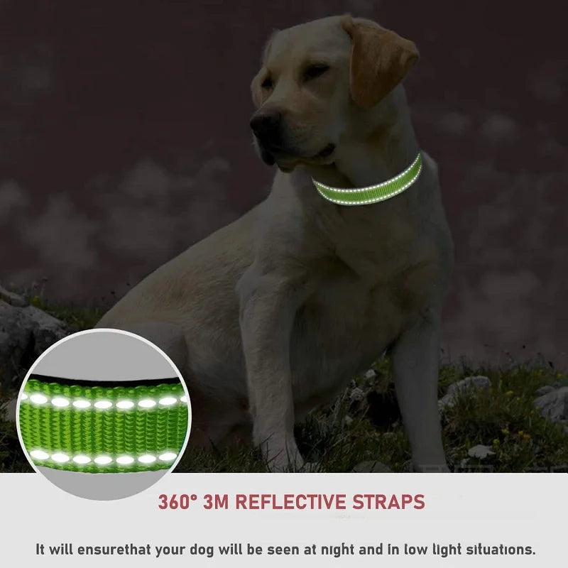 Nylon Dog Collar with Quick-Release Buckle