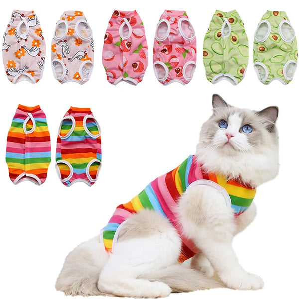 Cat Recovery Suit