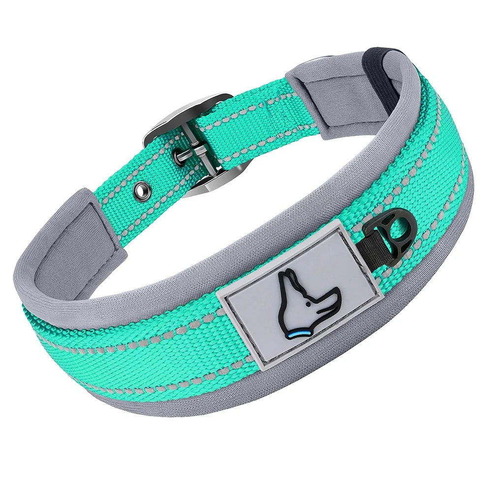 Padded Reflective Dog Collar - Blue Green / M