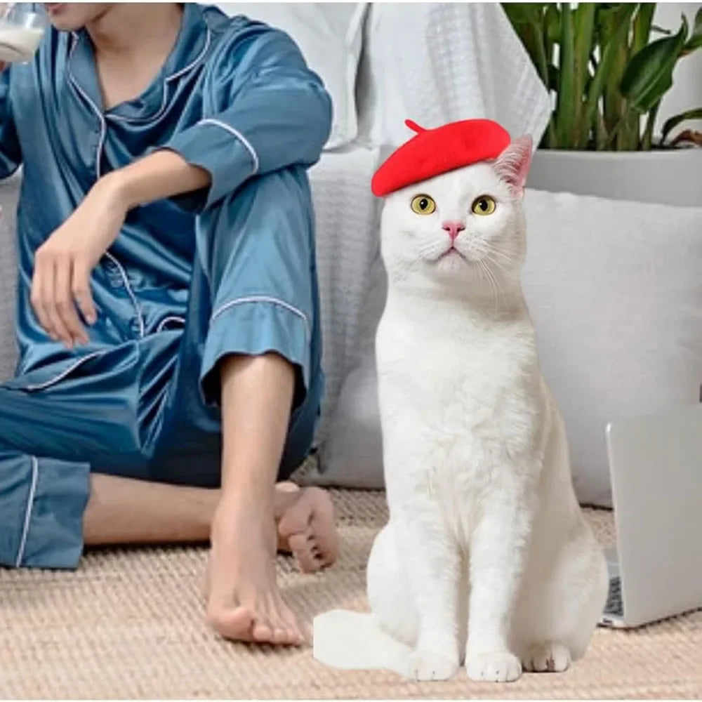 Wool Beret for Pets