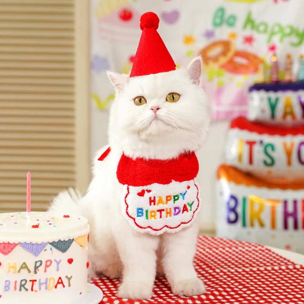 Pet Birthday Hat and Bandana Set
