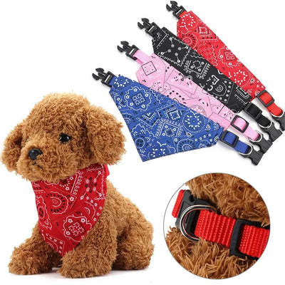 Paisley Bandana Collar for Dogs and Cats