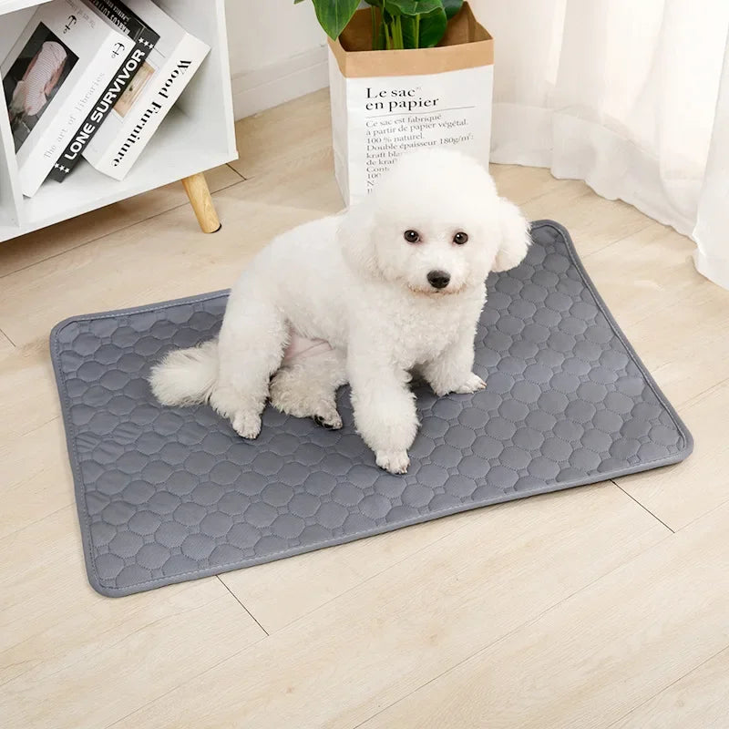 Reusable Washable Pee Pad for Dogs