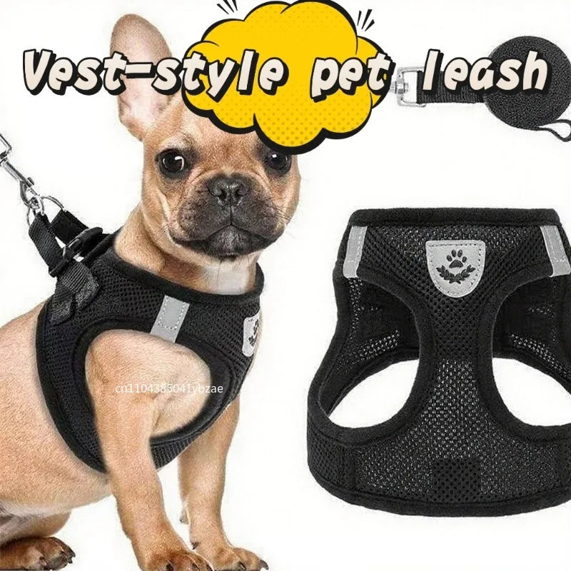 Mesh Cat Harness and Lead Set