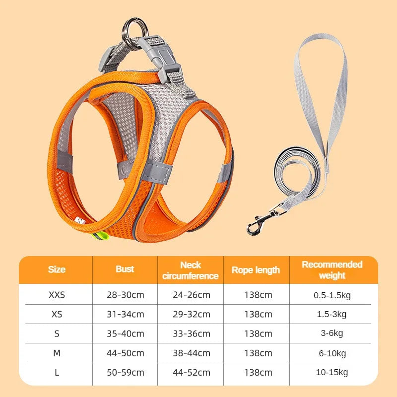 Soft Harness and Lead Set for Puppies and Small Dogs - Orange / XS 1.5-3 kg