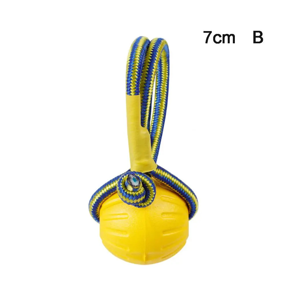 Rubber Ball on a Rope for Dogs